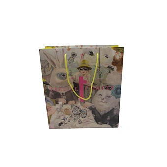 Customizable Eco-friendly Cheap Paper Bags with Handles